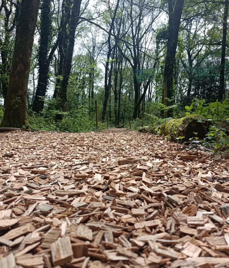 Parc de loisirs avec tyrolienne Vannes